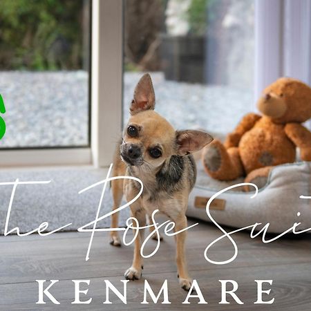 The Rose Suite Kenmare Ngoại thất bức ảnh